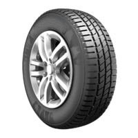 Roadx Rxfrost WC01 205/65 R16 107/105 (975 kg/kerék ) T (190 km/óra) C BSW DOT20(2020-ban gyártott)